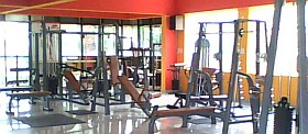 Hara Synosure