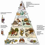 Food Pyramid