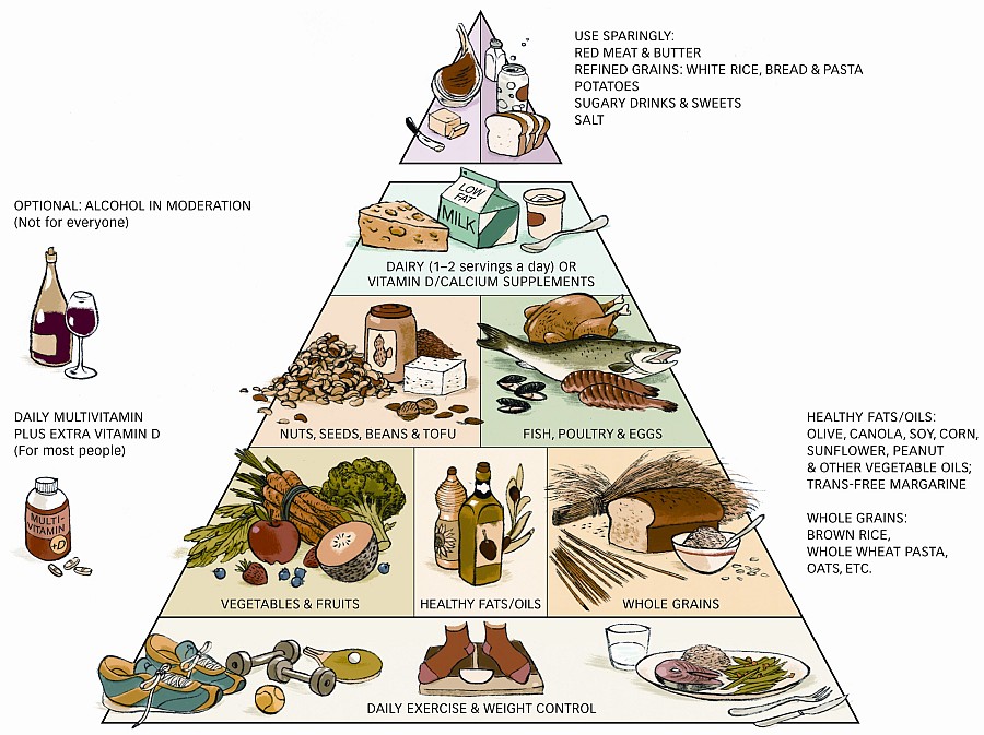 Food Pyramid